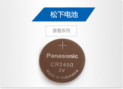 Panasonic battery